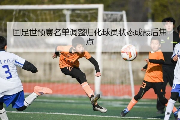 国足世预赛名单调整归化球员状态成最后焦点