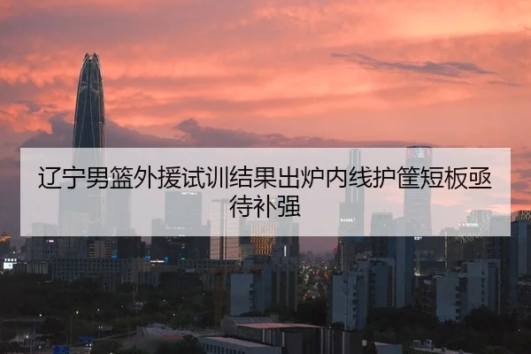辽宁男篮外援试训结果出炉内线护筐短板亟待补强