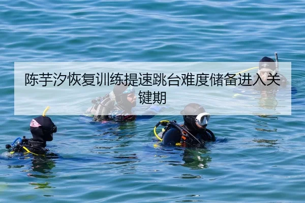 陈芋汐恢复训练提速跳台难度储备进入关键期